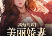 离婚高嫁：美丽娇妻哪里逃小说，离婚高嫁：美丽娇妻哪里逃章节在线阅读-个性文学