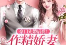 完结版《豪门先婚后爱！作精娇妻又软又嗲》章节阅读-个性文学