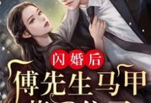 完结版《闪婚后：傅先生马甲藏不住了》章节阅读-个性文学