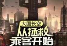 李治为主角的小说好看吗？免费读大国长空：从拯救乘客开始到战斗机-个性文学