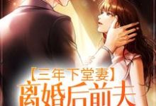 完结版《三年下堂妻，离婚后前夫悔不当初》章节目录在线阅读-个性文学