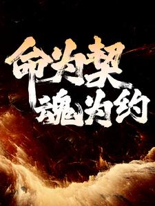 命为契，魂为约章节免费在线阅读， 李天阳青丝完结版