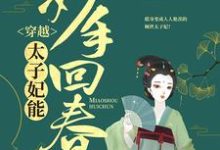 小说《穿越：太子妃能妙手回春》在线章节阅读-个性文学