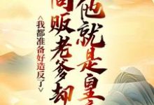 完结版《我都准备好造反了，商贩老爹却说他就是皇帝？》章节阅读-个性文学