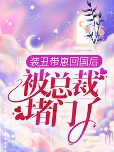 《装丑带崽回国后，被总裁堵门了》全集免费在线阅读（ 陆云衣霍司霆）