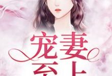 完结版《宠妻至上》免费阅读-个性文学