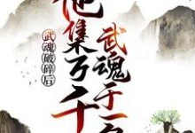 寻找武魂破碎后，他集万千武魂于一身小说的最新更新章节-个性文学