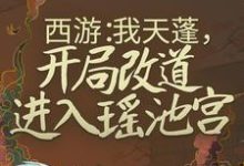 杜晨天蓬元帅小说叫什么（西游：我天蓬，开局改道进入瑶池宫免费阅读）-个性文学