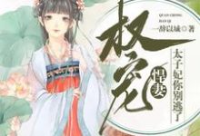 完结版《权宠悍妻：太子妃你别逃了》在线免费阅读-个性文学