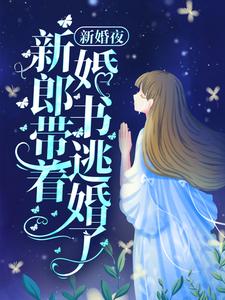 完结版《新婚夜，新郎带着婚书逃婚了？》章节目录在线阅读