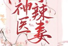 完结版《神医小辣妻》免费阅读-个性文学