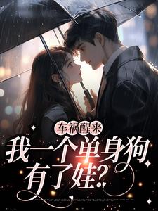 完结版《车祸醒来，我一个单身狗有了娃？》章节阅读