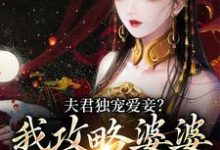 完结版《夫君独宠爱妾？我攻略婆婆来撑腰》在线免费阅读-个性文学