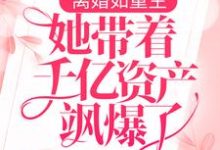 完结版《离婚如重生，她带着千亿资产飒爆了》章节阅读-个性文学