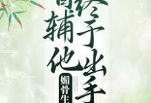 已完结小说《媚骨生香：首辅他终于出手了》在线章节阅读-个性文学