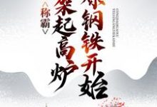 《称霸：从架起高炉冶炼钢铁开始》全集免费在线阅读（ 林云林无月）-个性文学