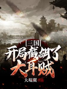 三国：开局截胡了大耳贼小说，三国：开局截胡了大耳贼在线阅读