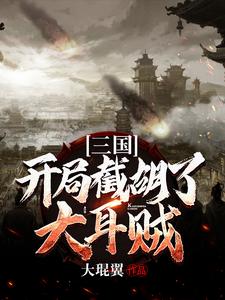 《三国：开局截胡了大耳贼》小说主角 刘磐貂蝉章节章节免费在线阅读