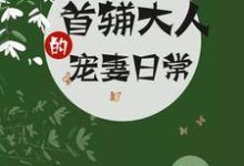 《首辅大人的宠妻日常》小说章节在线试读，《首辅大人的宠妻日常》最新章节目录-个性文学