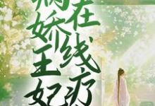 完结版《新婚夜，病娇王妃在线疗伤》章节阅读-个性文学