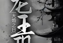 林见鹿龙冥渊的故事在哪本书里？免费阅读大婚之日，龙王现-个性文学