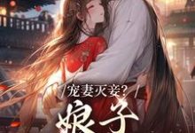 《宠妻灭妾？娘子，我不会啊》小说主角盛觅觅章节章节免费在线阅读-个性文学