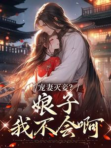 《宠妻灭妾？娘子，我不会啊》小说主角盛觅觅章节章节免费在线阅读