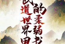 武道世界里的柔弱书生小说阅读，武道世界里的柔弱书生完结版-个性文学