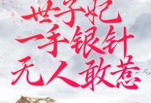 完结版《被逼替嫁：世子妃一手银针无人敢惹》章节目录在线阅读-个性文学