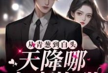 完结版《从青葱到白头：天降哪有青梅甜》章节目录在线阅读-个性文学