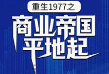 哪里能找到重生1977之商业帝国平地起小说的全部章节？-个性文学