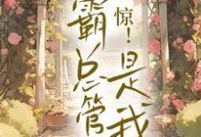 完结版《惊！霸总管家是我》章节阅读-个性文学