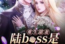 求重生甜妻：陆boss是宠妻狂魔小说的全文免费阅读链接-个性文学