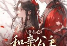 完结版《撩君心：和亲公主不好惹》在线免费阅读-个性文学