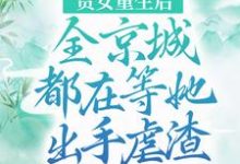 江善皇帝小说《贵女重生后，全京城都在等她出手虐渣》在线阅读-个性文学