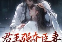 《君王强夺臣妻，只为惊鸿一面》全集免费在线阅读（陆妧夕尉迟璟）-个性文学