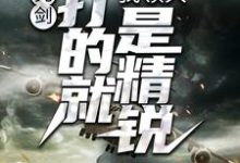 完结版《亮剑：我领兵，打的就是精锐！》在线免费阅读-个性文学