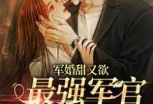 完结版《军婚甜又欲：最强军官被勾了魂》章节阅读-个性文学