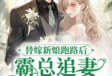 《替嫁新娘跑路后，霸总追妻火葬场了》小说章节在线试读，《替嫁新娘跑路后，霸总追妻火葬场了》最新章节目录-个性文学