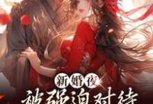 小说《新婚夜被强迫对待，这叫不近女色？》章节免费阅读-个性文学