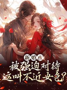 小说《新婚夜被强迫对待，这叫不近女色？》章节免费阅读