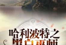 哈利波特之黑白巫师罗斯·邓曼莱昂·迈斯小说在线章节目录阅读最新章节-个性文学