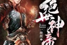 小说《绝世神帝》在线章节阅读-个性文学