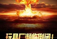 完结版《玩具厂濒临倒闭！换军工芯起死回生》章节阅读-个性文学