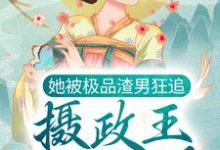 小说《她被极品渣男狂追，摄政王坐不住了》在线章节阅读-个性文学