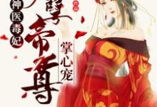 完结版《神医毒妃：妖孽帝尊掌心宠》章节阅读-个性文学