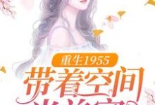 宋海宁陆思元是哪本书的主角？寻找重生1955：带着空间当首富免费阅读-个性文学