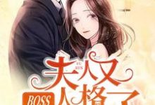 BOSS，夫人又人格分裂了免费阅读，BOSS，夫人又人格分裂了安凝夜盛霆远-个性文学