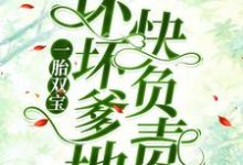 小说《一胎双宝：坏坏爹地快负责》在线章节阅读-个性文学