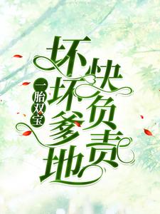 小说《一胎双宝：坏坏爹地快负责》章节免费阅读